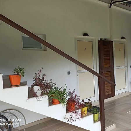 La Maison Du Voyage Tevaitoa エクステリア 写真